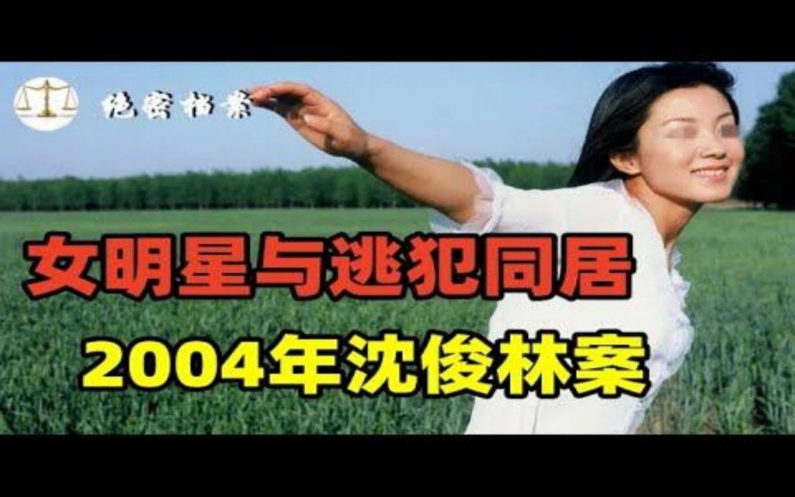 2004年“沈俊林”案,逃亡19年身家上亿,还包养女明星哔哩哔哩bilibili