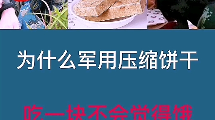 科普一下军用压缩饼干知识哔哩哔哩bilibili