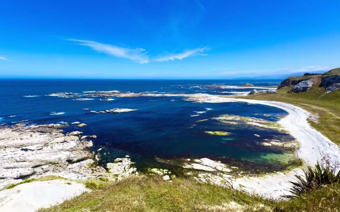 angelaaura- soma彩油塔罗—初阶