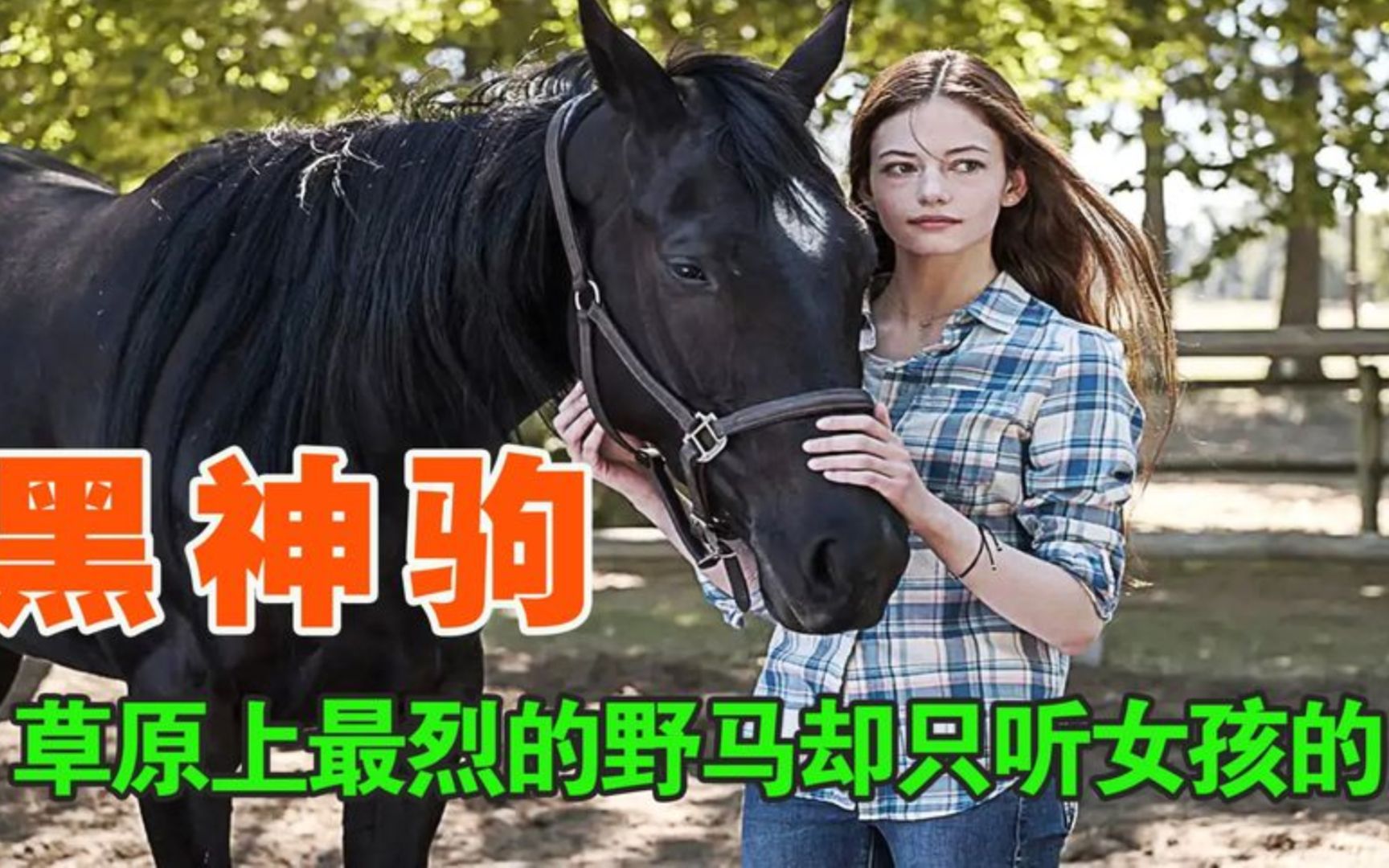 [图]豆瓣9.2，一部零差评的感人电影！《忠犬八公物语》