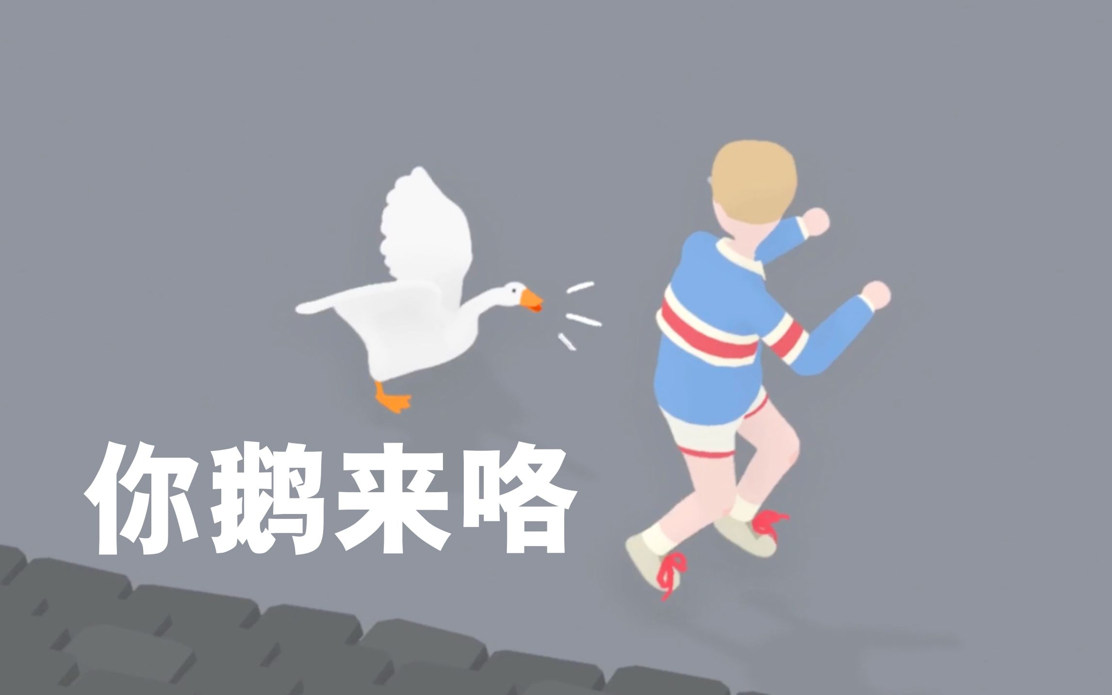 [图]【安可乐】村 中 大 鹅 霸