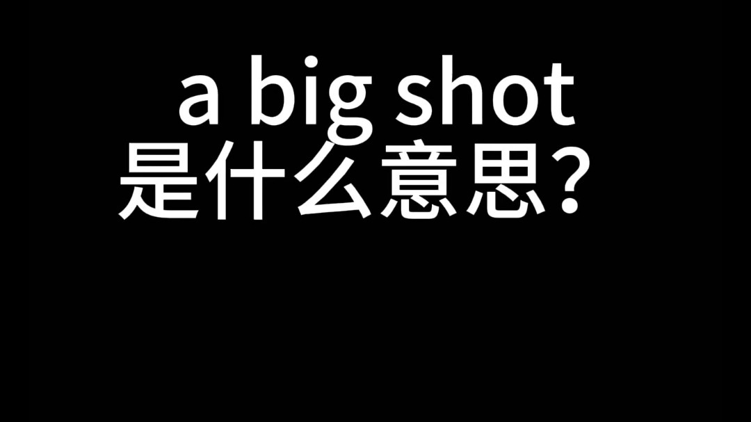 a big shot是什么意思?哔哩哔哩bilibili