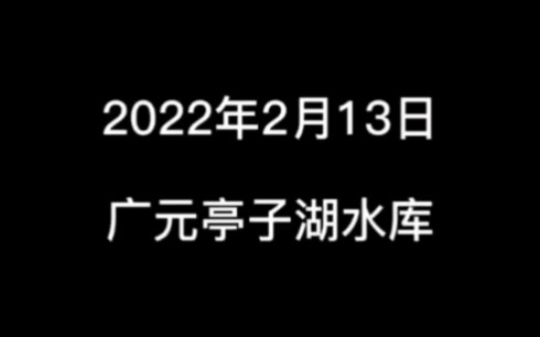 四川省广元市嘉恒渔业广元鱼业公司哔哩哔哩bilibili