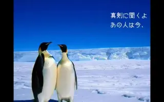 ペンギンズ 搜索结果 哔哩哔哩 Bilibili