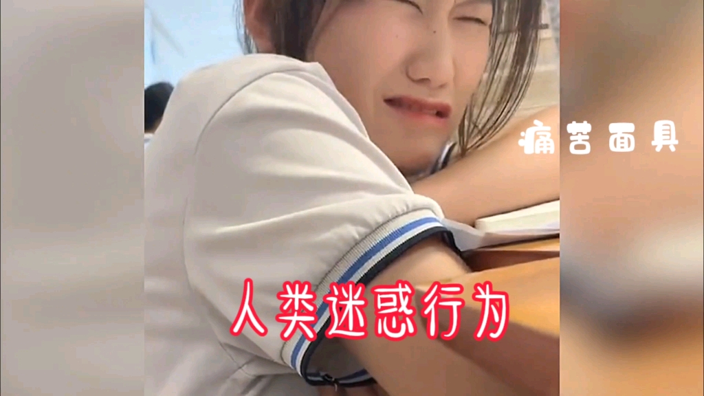 人类迷惑行为大赏!