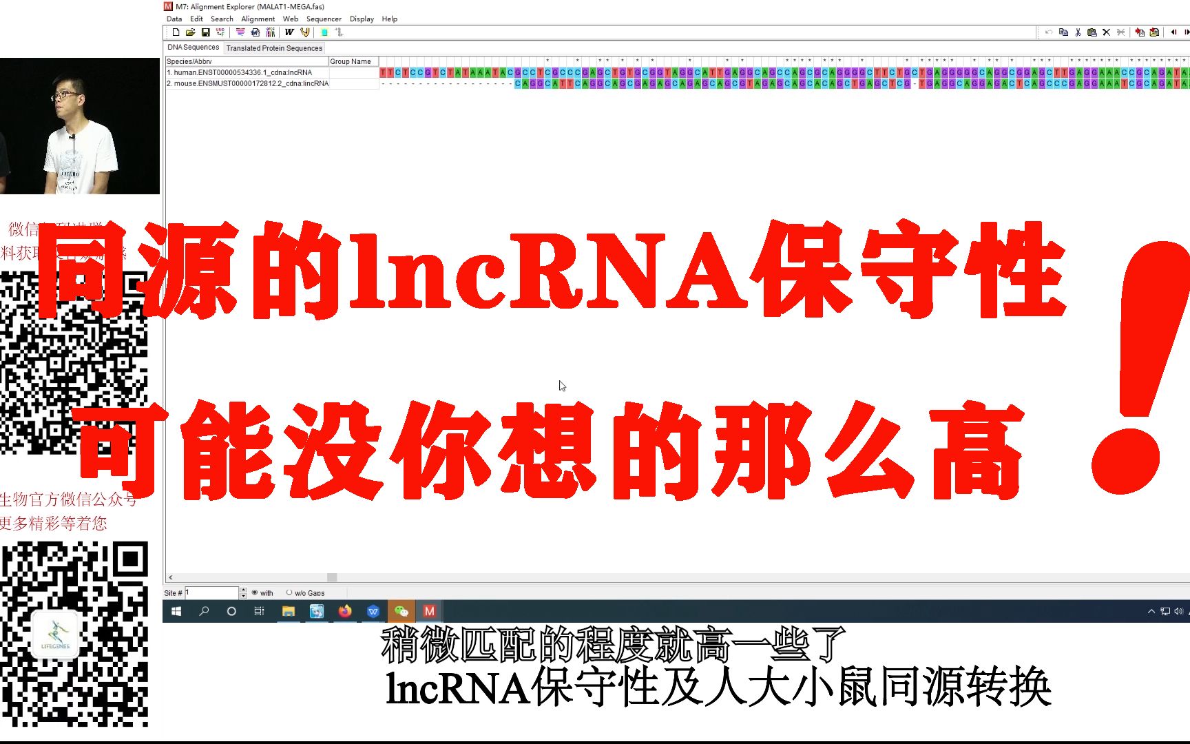 lncRNA保守性3同源的lncRNA保守性可能没你想的那么高哔哩哔哩bilibili