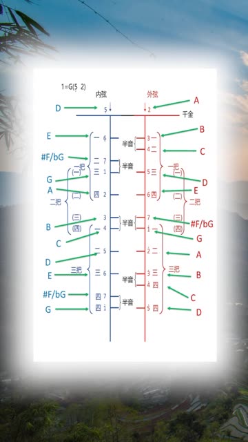 二胡g调音阶教学图片