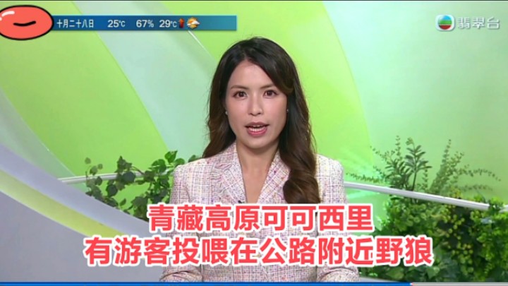 【TVB翡翠台】新闻:青藏高原可可西里 有越来越多游客投喂公路附近的野狼哔哩哔哩bilibili