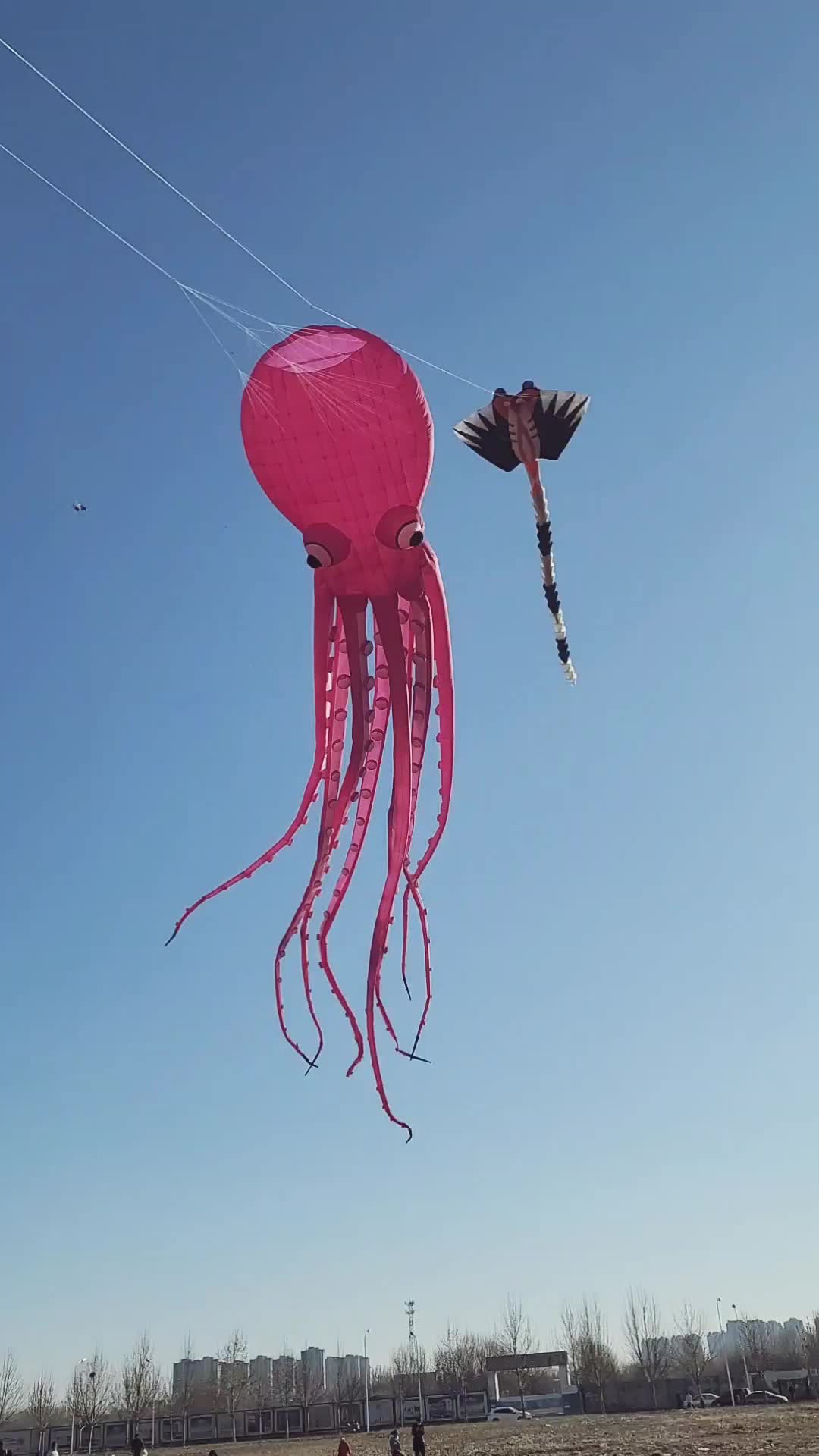 风筝挂件~30米鳐鱼,35单口