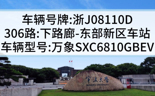 【温岭城乡公交】306路:下路廊→东部新区车站,浙J08110D哔哩哔哩bilibili