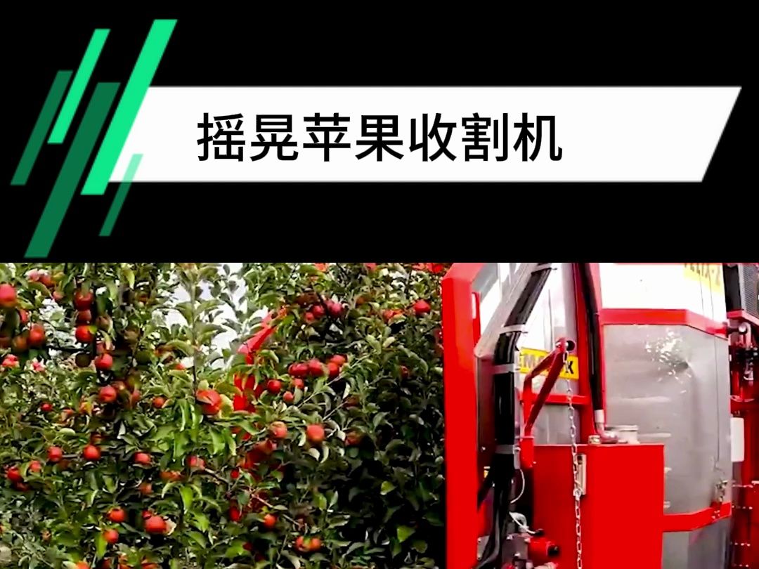 摇晃苹果收割机#现代农业机械 #三农 #农机特务