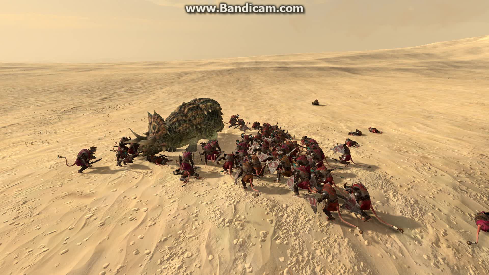 野生三角龙vs风暴鼠剑盾