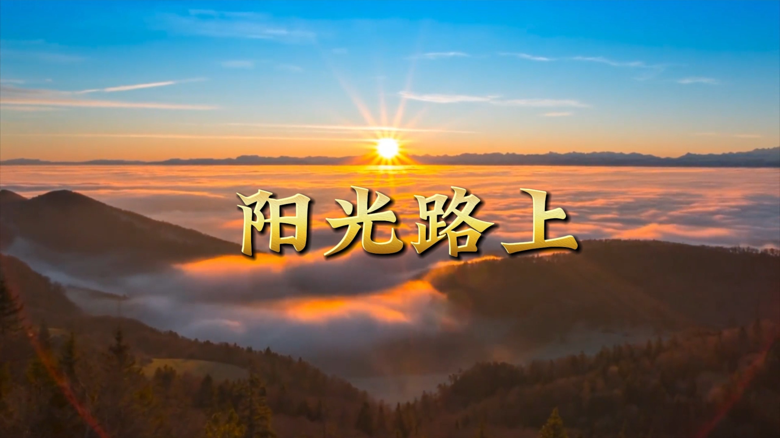 #阳光路上
