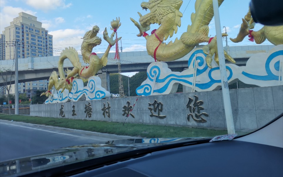 大连龙王塘鱼港 来这里买鱼吧,新鲜的刀鱼只有在小视频里见过