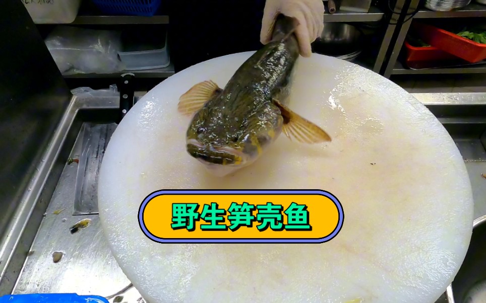 天氣轉冷,整條野生筍殼魚清蒸