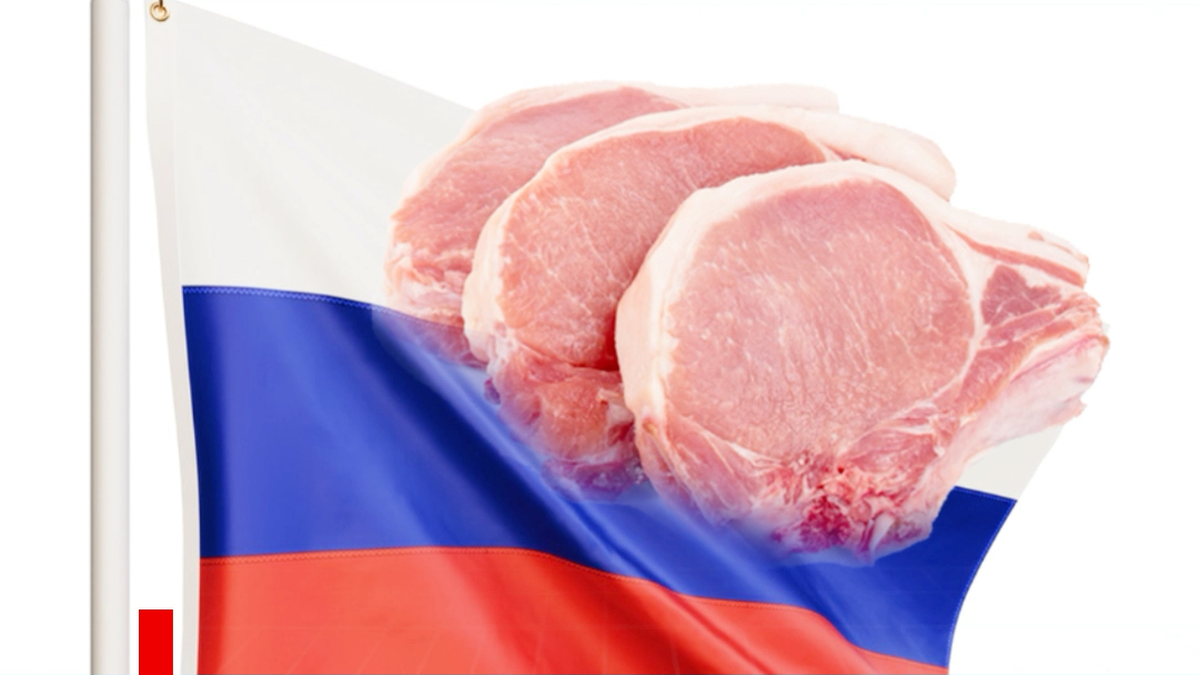 已发货!3月7日俄罗斯首批27吨出口中国猪肉起运