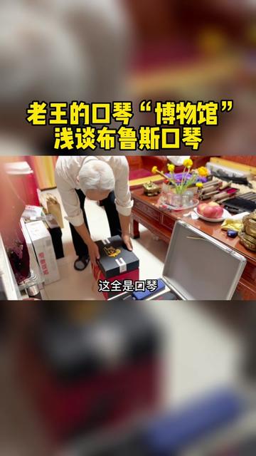 带您看看老王的口琴“博物馆”——浅谈布鲁斯口琴哔哩哔哩bilibili