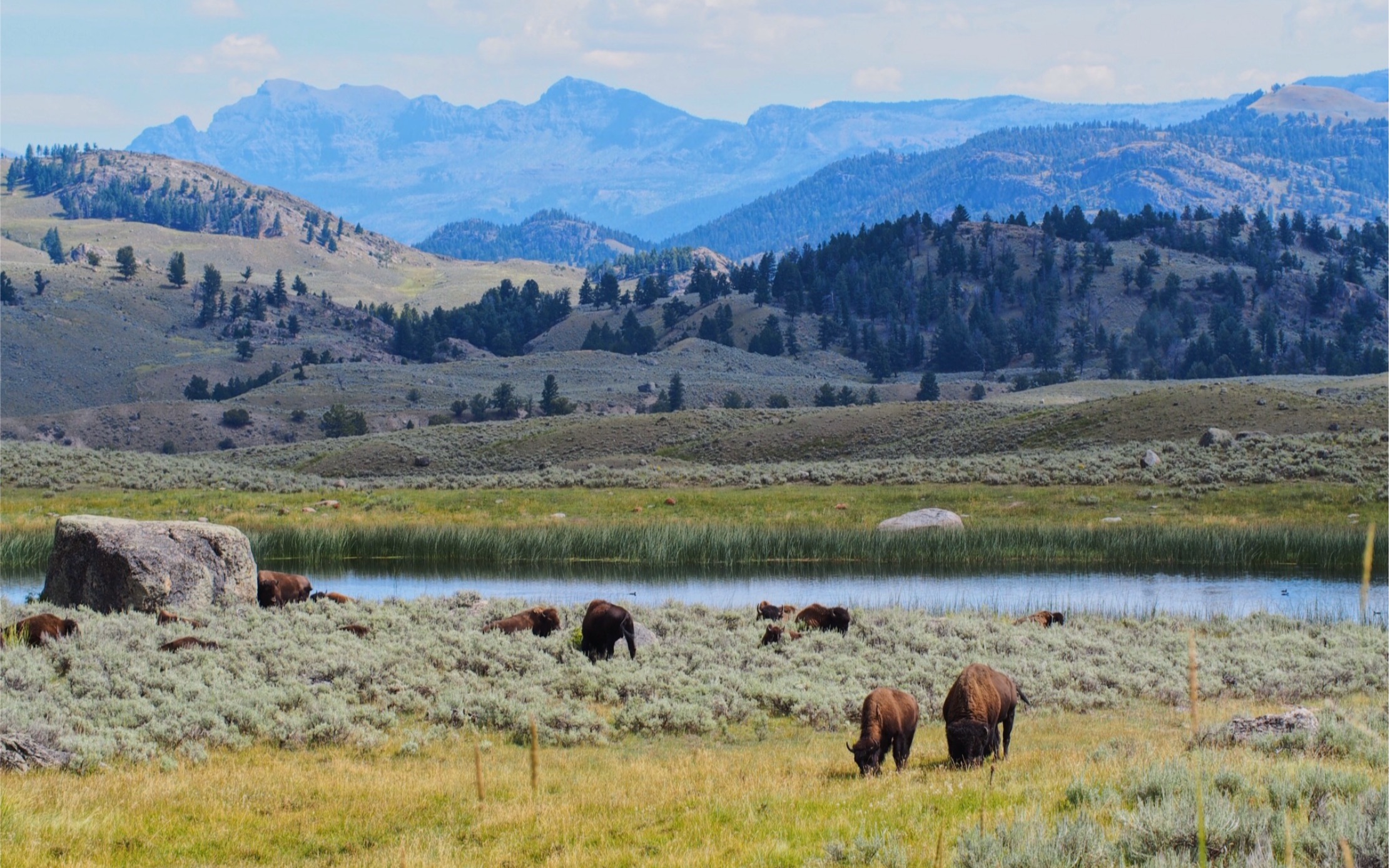 [图]黄石公园Fantasy yellowstone