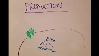 革兰氏阳性菌群感效应Quorum Sensing in Gram Positive Bacteria