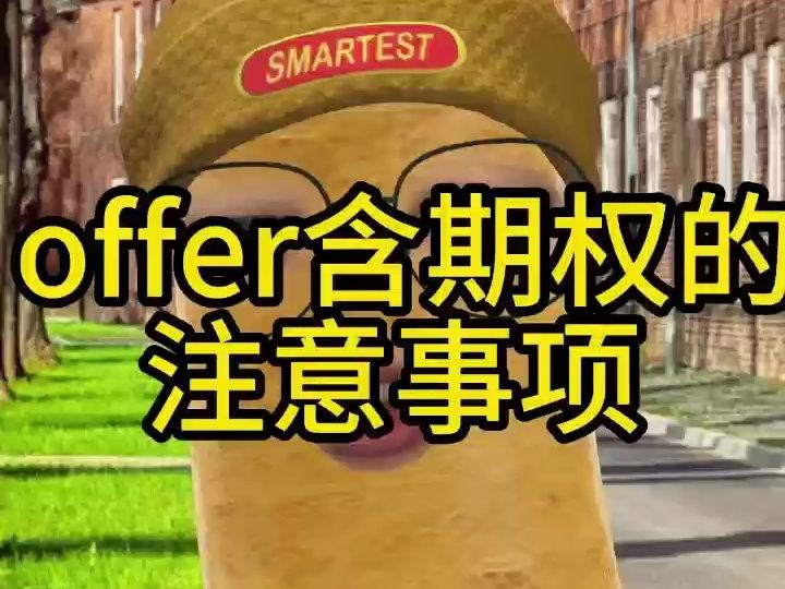 offer含期权的注意事项哔哩哔哩bilibili