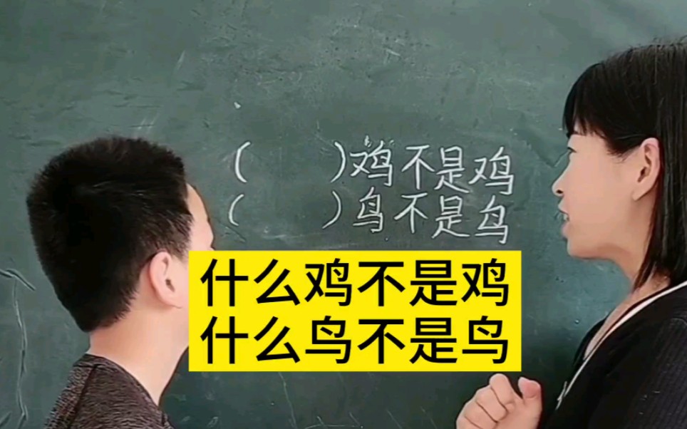 什么鸡不是鸡,什么鸟不是鸟呢?这个谁能知道,你们想到了什么啊哔哩哔哩bilibili