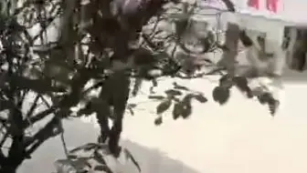 天天一泉400g商用柜机已入驻蓝田蓝关街道办事处！奉献千万家健康好水， - 抖音