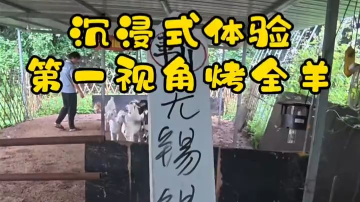 锡山一家人聚餐，小羊到场，烟火气配上田园氛围感