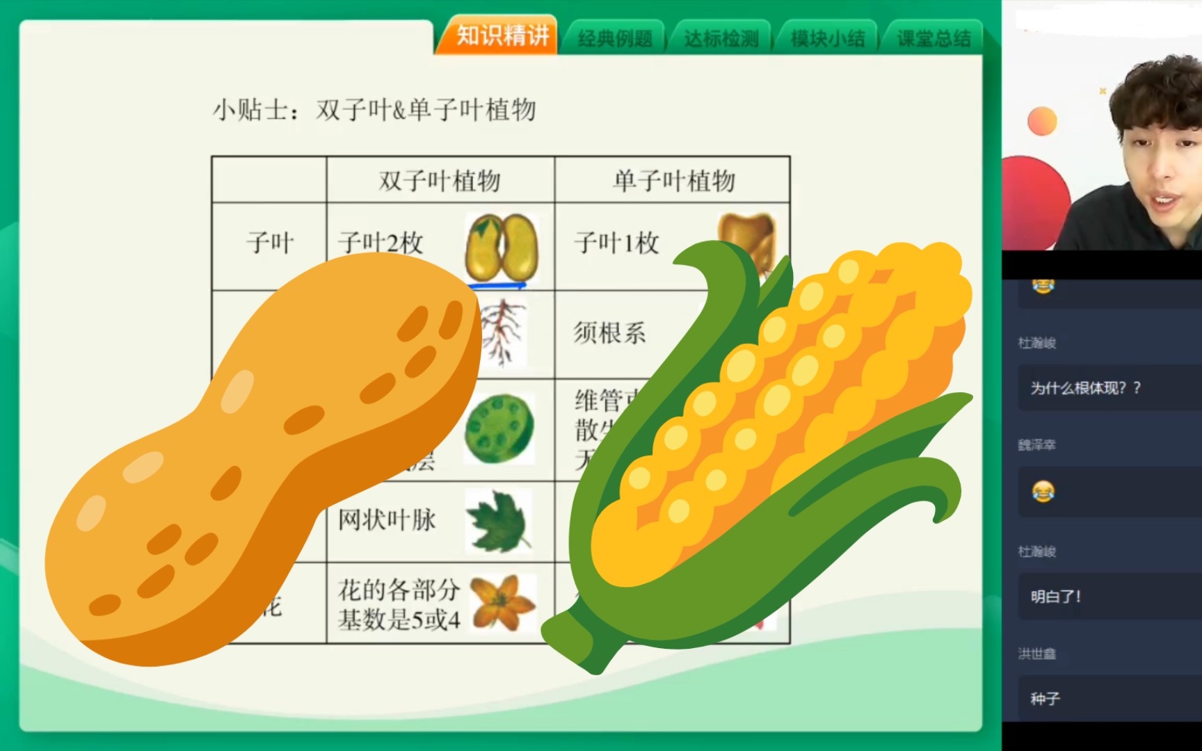 〖植物激素〗单子叶植物和双子叶植物辨析哔哩哔哩bilibili