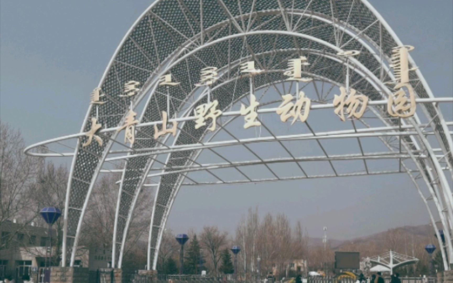 去大青山野生動物園看蒙古野驢和其他動物