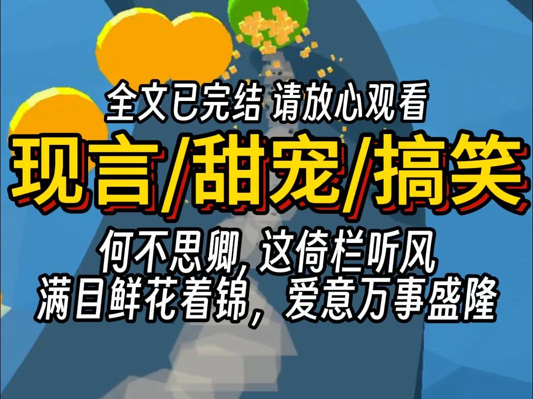 [图]（已完结）现言甜宠搞笑，何不思卿, 这倚栏听风，满目鲜花着锦，爱意万事盛隆。