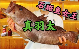 全鱼宴 搜索结果 哔哩哔哩 Bilibili