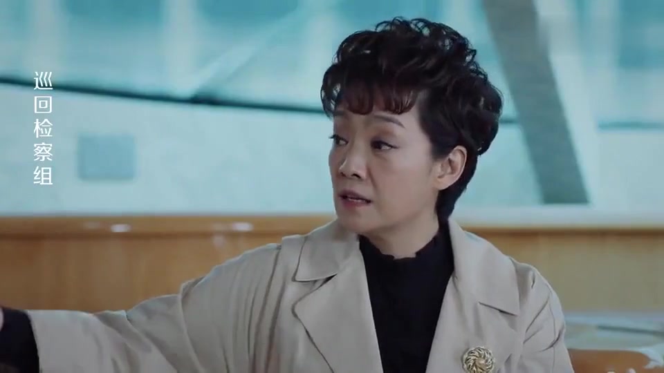 巡回检察组,熊邵峰账上多了一千万,没有报告组织,反而找郑双雪1