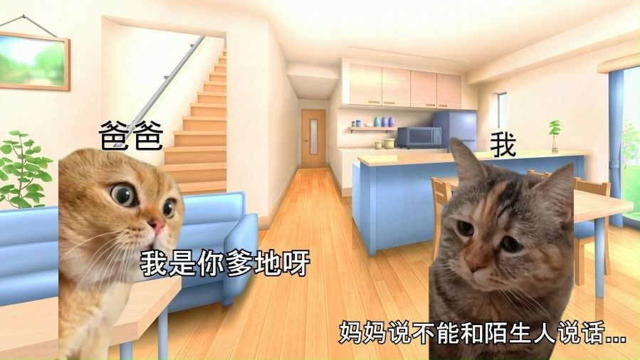 [图]【猫meme】我的冤种父亲和脸盲症的我