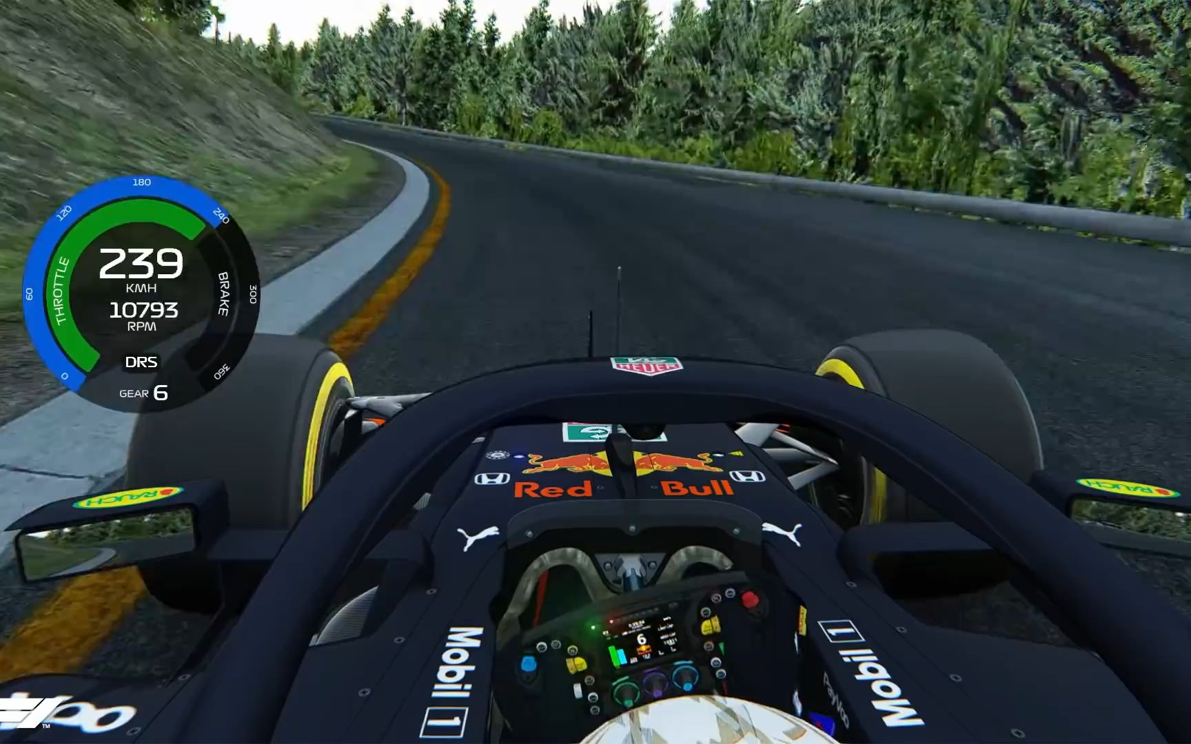 f1 2020 斯帕赛道1966 维斯塔潘 车载 游戏名:神力科莎