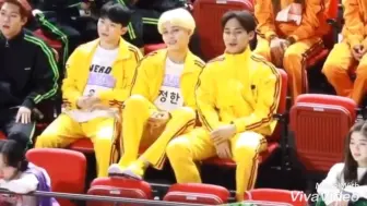 Download Video: Irene and Mingyu moments-2 ISAC2019