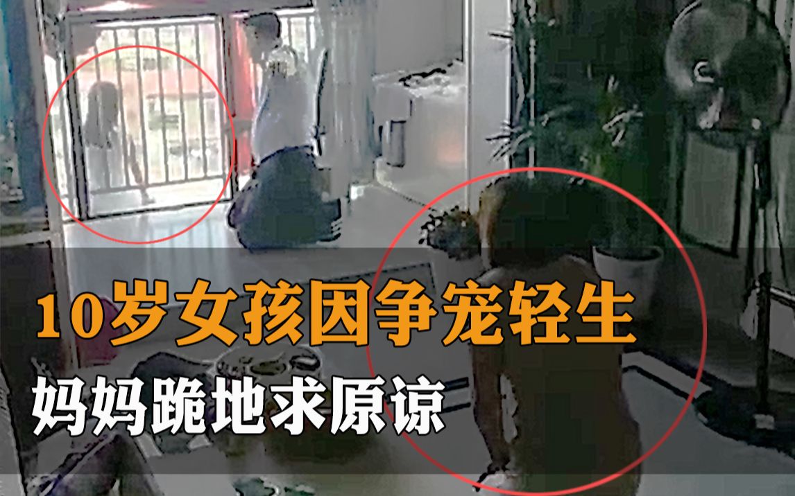 [图]10岁女孩和姐姐争宠欲跳楼，妈妈跪地求原谅：妈妈会改的， 姐姐有的你也有