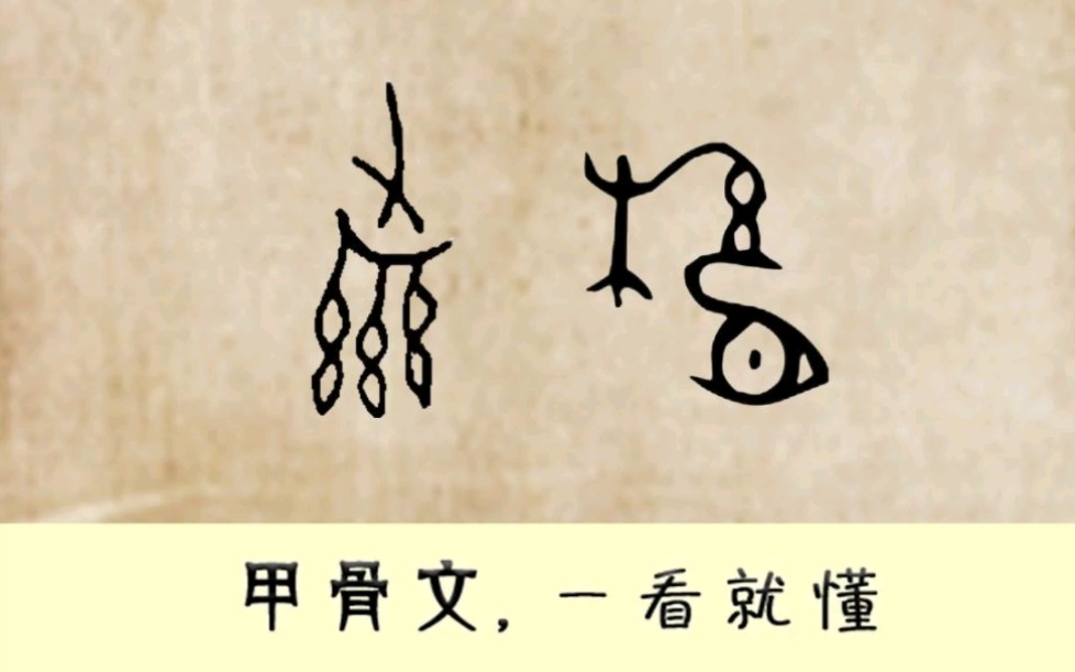 "县"甲骨文4600多个,每天学习一点点