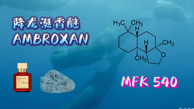 降龙涎香醚中文发音图片