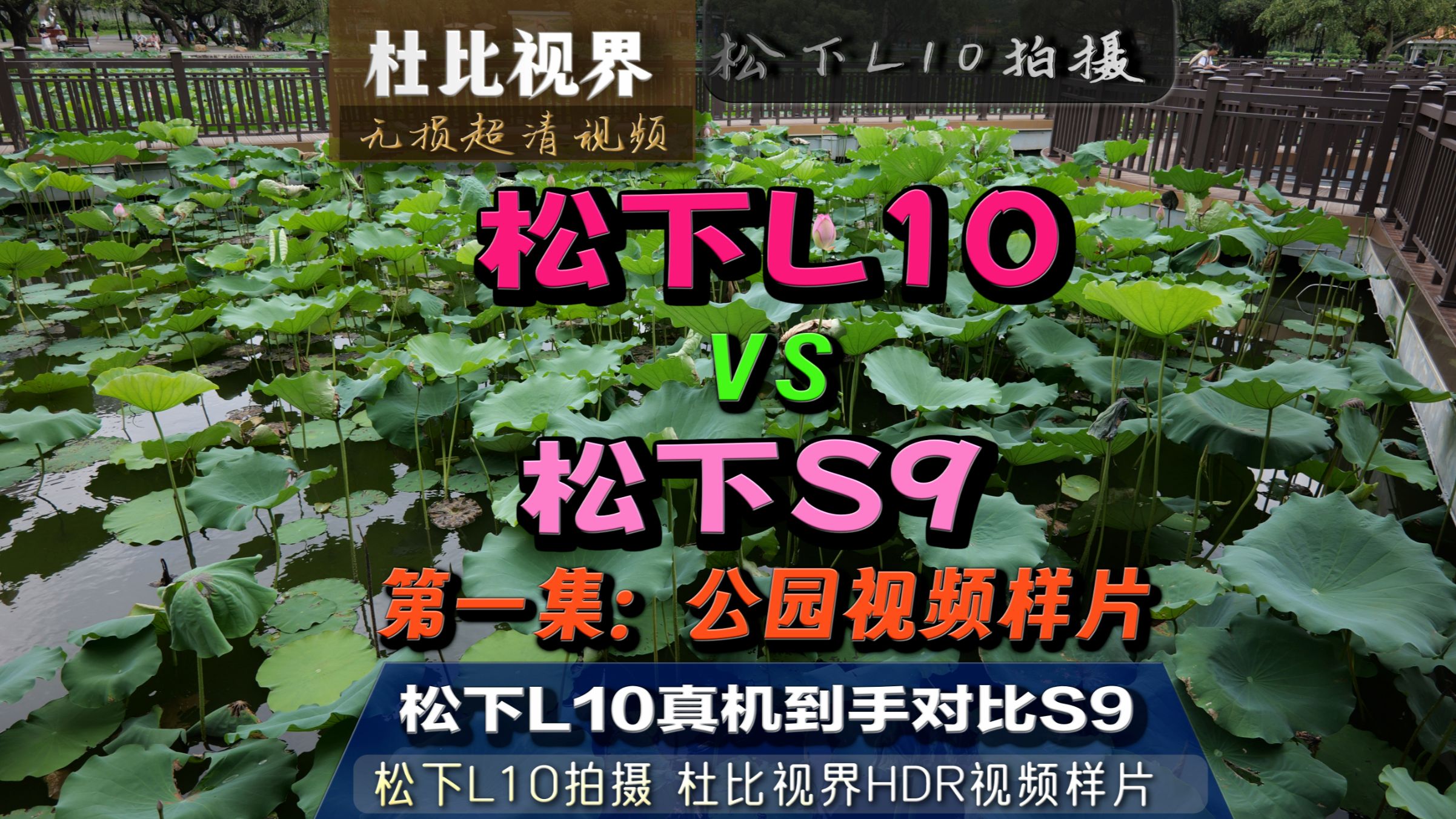 松下L10真机到手对比松下S9第1集：公园景色荷花池 松下L10拍摄的第一个视频 画质满意 外观满意 防抖一般