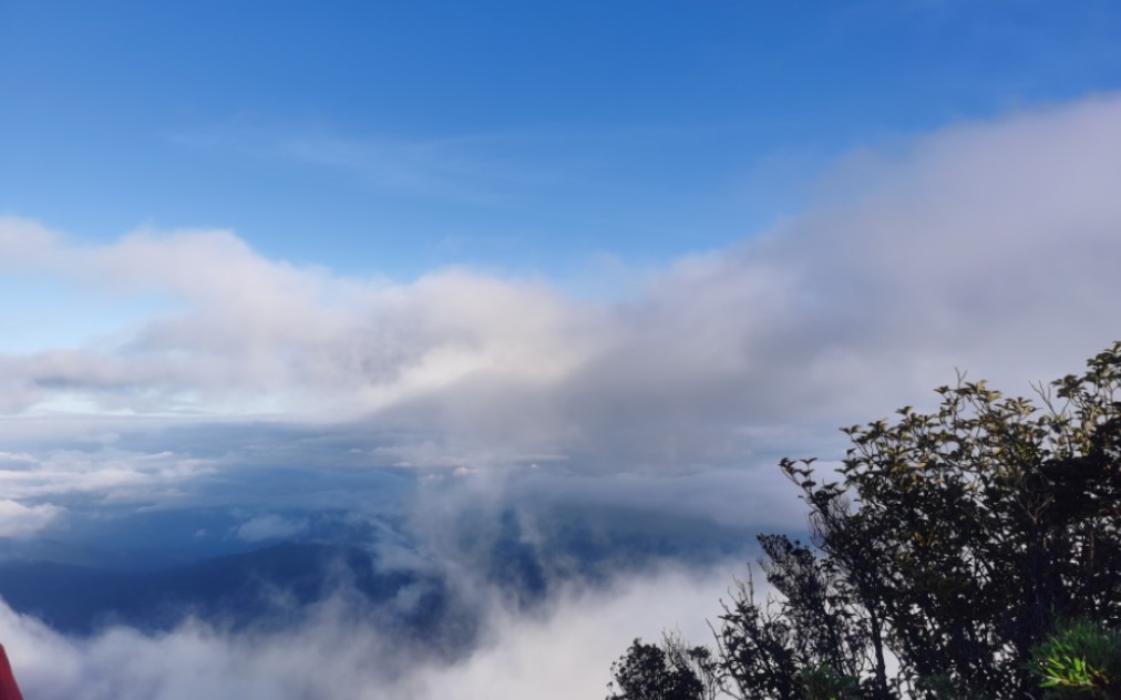 貓兒山雲海