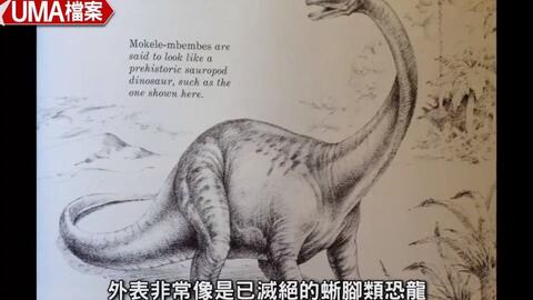 Mokele-Mbembe: The Last Living Dinosaur  摩克拉姆贝贝: 地球上仅存的恐龙