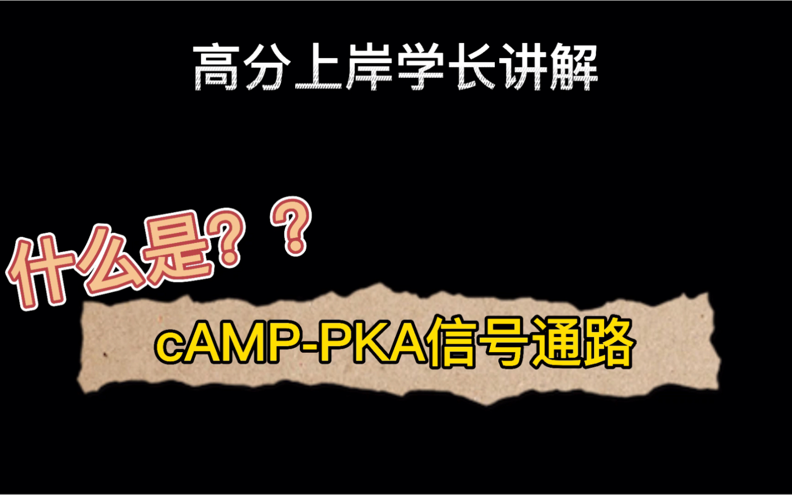 [图]什么是cAMP-PKA信号通路？高分上岸学长讲解生物化学和细胞生物学重要考点和难点.考研真题讲解、22生物考研、上岸经验.