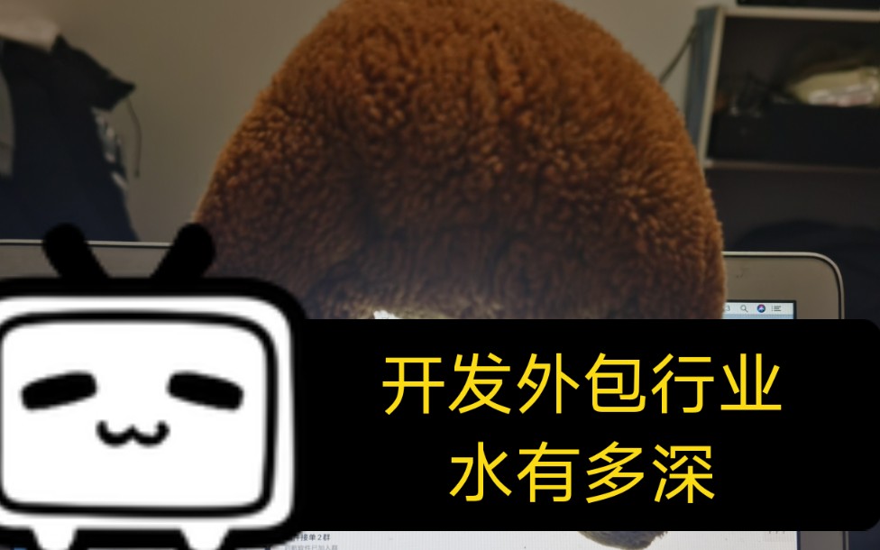 开发外包行业水有多深?哔哩哔哩bilibili