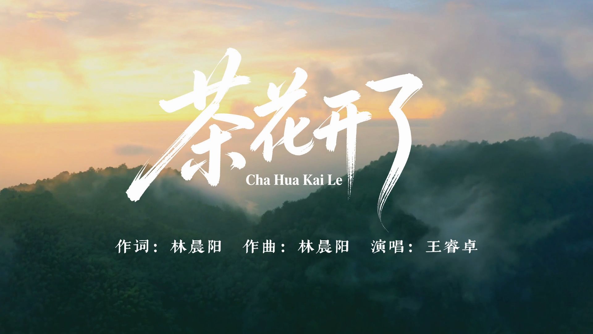 王睿卓《茶花开了》｜治愈的歌声诉说着故土乡愁，一曲唱给故乡与外婆的温柔思念。