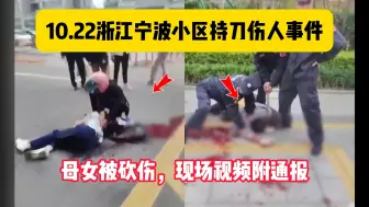 Descargar video: 10.22浙江宁波某小区持刀伤人事件，母女被砍伤，现场视频附通报