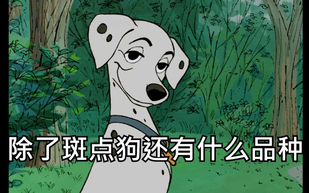 《101忠犬》中Pongo叫来的狗都是什么品种[One Hundred and One Dalmatians]哔哩哔哩bilibili