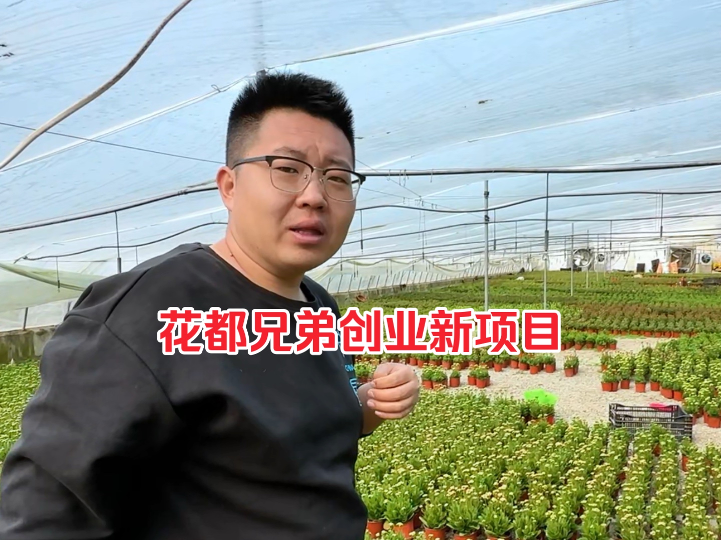 花都兄弟再上创业新项目!