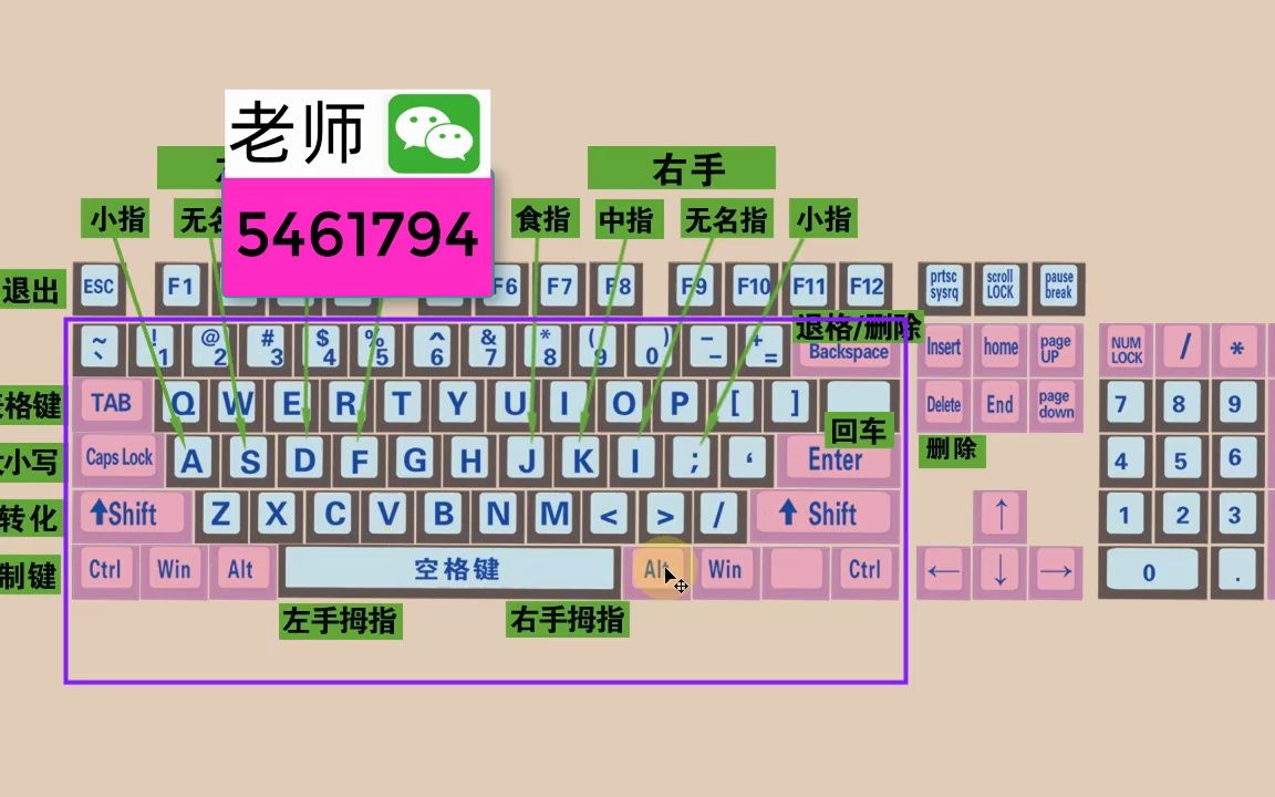 电脑初学者认识键盘和键盘正确打字方法哔哩哔哩bilibili