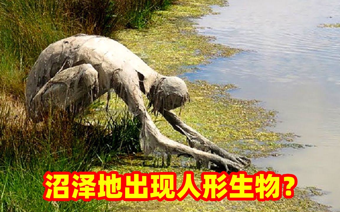 [图]3个沼泽地里最奇怪的发现，这个人形生物是什么？