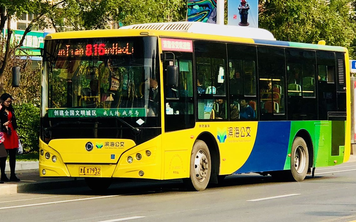 天津滨海公交pov816路莱茵春天新港三号路